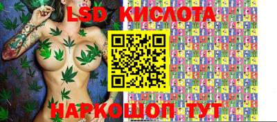 соль ск Будённовск