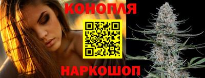 spice Бузулук