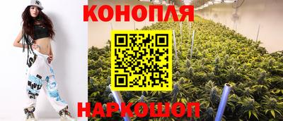 spice Бузулук