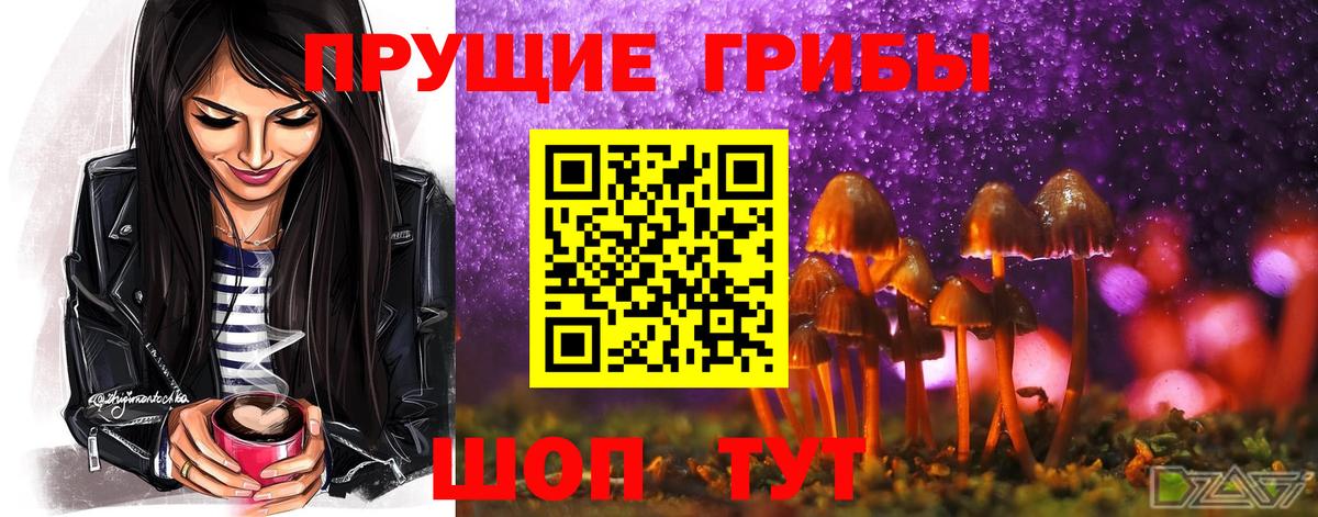 Семилуки  Галлюциногенные грибы GOLDEN TEACHER  Псилоцибиновые грибы мицелий  Вход с VPN 
